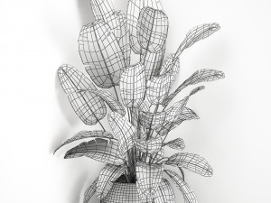 banana palm in a white pot for the interior 658 Modèle 3D