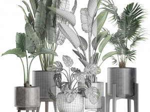 plants in a black pot for the interior 658 3D Model