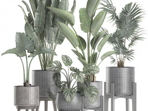 plants in a black pot for the interior 658 3D Model