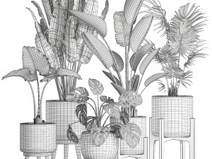 plants in a black pot for the interior 658 3D Model