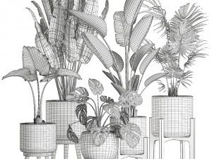 plants in a black pot for the interior 658 3D Model