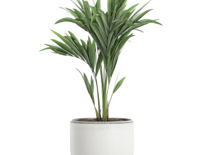 plants in a white pot for the interior 659 3D 모델