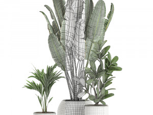 plants in a white pot for the interior 659 3D 모델