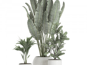 plants in a white pot for the interior 659 3D 모델