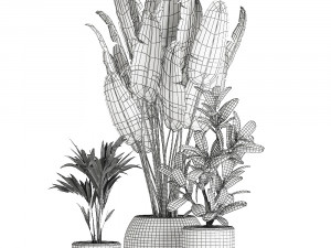 plants in a white pot for the interior 659 3D 모델