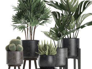 plants in a black pot for the interior 662 3D Model