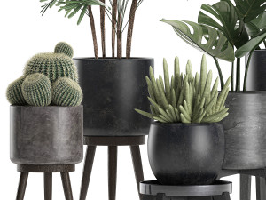 plants in a black pot for the interior 662 3D Model