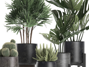 plants in a black pot for the interior 662 3D Model