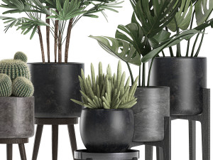 plants in a black pot for the interior 662 3D Model
