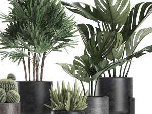 plants in a black pot for the interior 662 3D Model