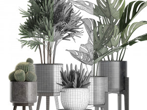 plants in a black pot for the interior 662 3D Model