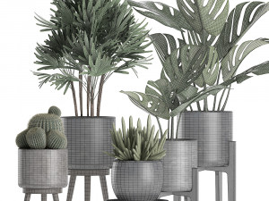 plants in a black pot for the interior 662 3D Model