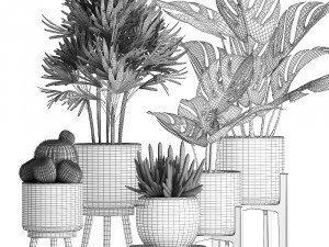 plants in a black pot for the interior 662 3D Model