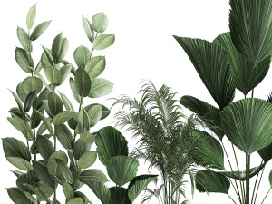plants in a black pot for the interior 664 Modèle 3D