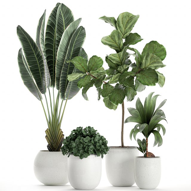 plants in a white pot for the interior 666 3Dモデル .c4d .max .obj .3ds .fbx .stl .blend 