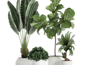 plants in a white pot for the interior 666 3D Модель