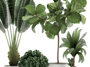 plants in a white pot for the interior 666 3Dモデル