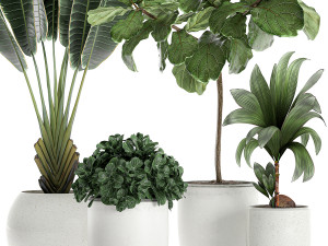 plants in a white pot for the interior 666 3Dモデル