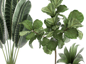plants in a white pot for the interior 666 3Dモデル