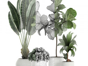 plants in a white pot for the interior 666 3Dモデル