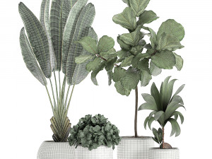 plants in a white pot for the interior 666 3Dモデル