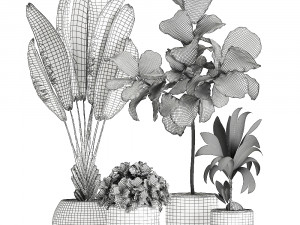 plants in a white pot for the interior 666 3Dモデル