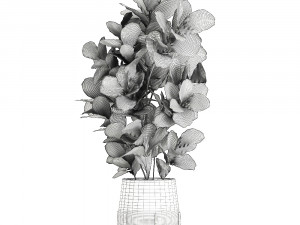 ficus tree in a black flowerpots 667 3Dモデル