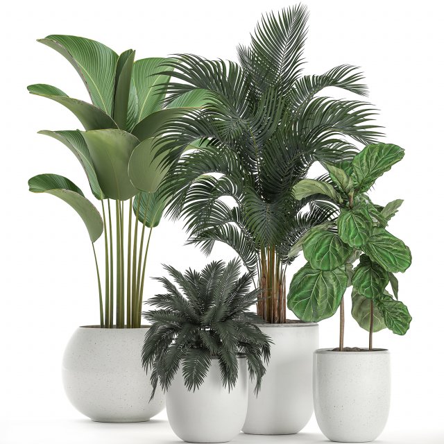 plants in a white pot for the interior 668 3D Model .c4d .max .obj .3ds .fbx .stl .blend 