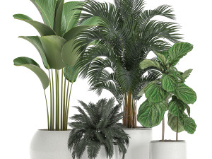 plants in a white pot for the interior 668 Modelo 3D