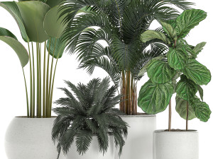plants in a white pot for the interior 668 3D Model