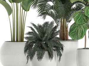 plants in a white pot for the interior 668 3D Model