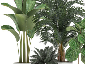 plants in a white pot for the interior 668 3D Model