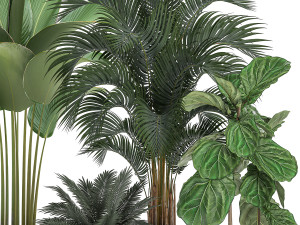 plants in a white pot for the interior 668 3D Model