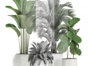 plants in a white pot for the interior 668 3D Model