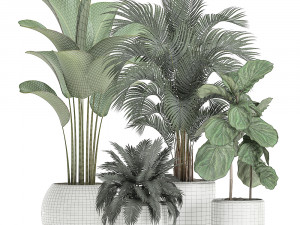 plants in a white pot for the interior 668 3D Model