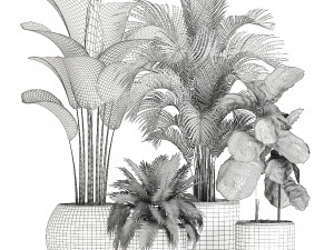 plants in a white pot for the interior 668 3D Model