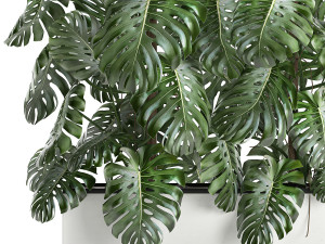 monstera in a white pot for the interior 669 Modelo 3D