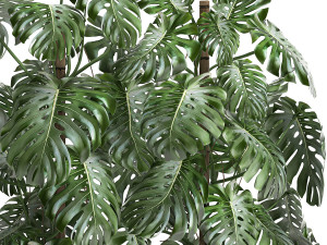 monstera in a white pot for the interior 669 Modelo 3D