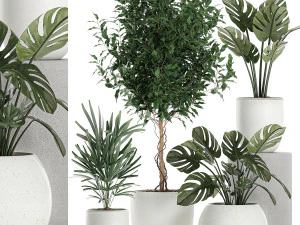 растения в белом горшке для интерьера 670 3D Модель