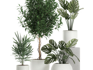 plants in a white pot for the interior 670 3D-Modell