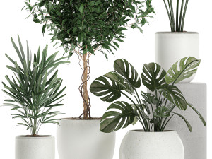 plants in a white pot for the interior 670 3D-Modell