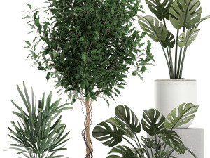 plants in a white pot for the interior 670 3D-Modell