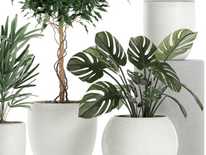 plants in a white pot for the interior 670 3D-Modell