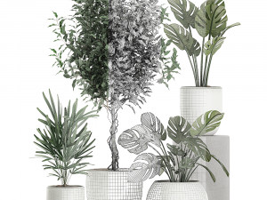 plants in a white pot for the interior 670 3D-Modell