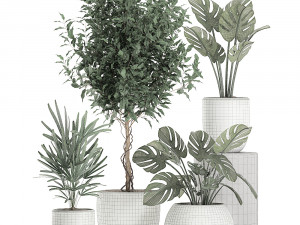 plants in a white pot for the interior 670 3D-Modell