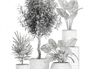 plants in a white pot for the interior 670 3D-Modell