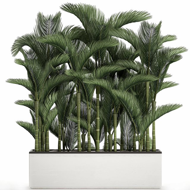 palm in a white pot for the interior 671 Model 3D .c4d .max .obj .3ds .fbx .stl .blend 