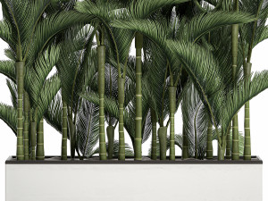 palm in a white pot for the interior 671 Model 3D