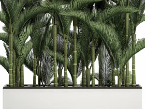palm in a white pot for the interior 671 3D Model