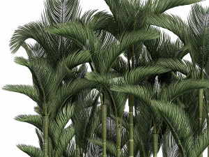 palm in a white pot for the interior 671 3D Model